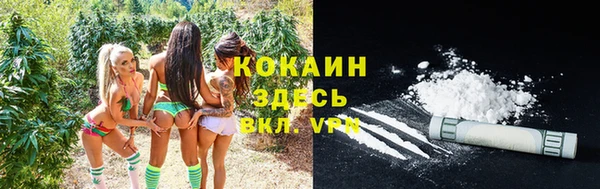 шишки Балахна