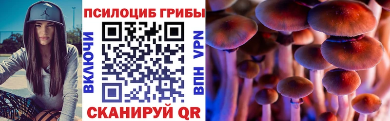 Купить где  Куртамыш  Псилоцибиновые грибы GOLDEN TEACHER 